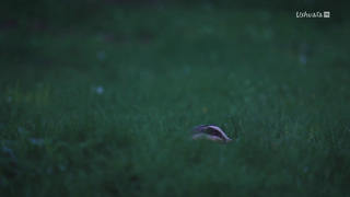 Les Pyrénées secrètes