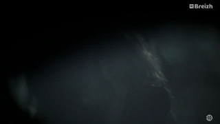 Les experts : Manhattan