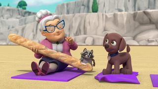 La Pat' Patrouille - Saison 10