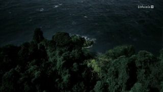 L'odyssée des animaux