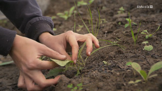 Réparer la terre, réparer les hommes