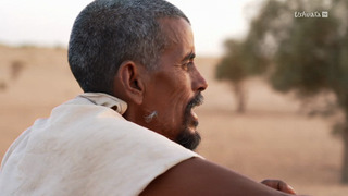 Sahara : les combattants du désert