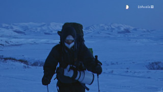 Yukon, un rêve blanc