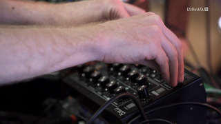 L'odyssée de la coquille Saint-Jacques