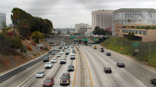 Skindigenous : tatouages et traditions