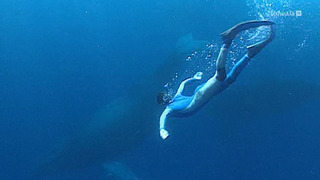 Une année en Afrique, Best of