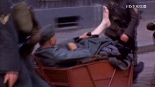 La bataille de Normandie