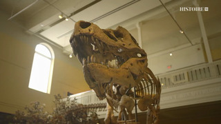 Les grandes découvertes avec Dan Snow