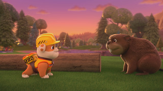 Ruben & Cie - Saison 1