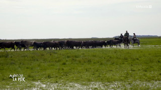 Au bout c'est la mer