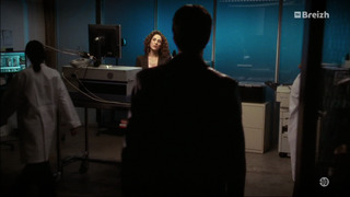 Les experts : Manhattan