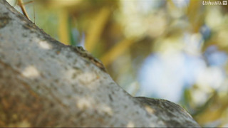Méditerranée, l'odyssée pour la vie