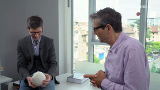 L'histoire au scalpel