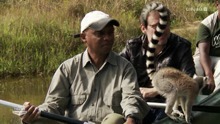 Des trains pas comme les autres