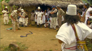 Message aux petits frères