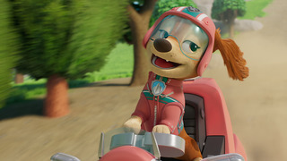 La Pat' Patrouille - Saison 11