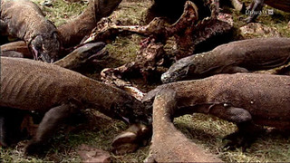 Les mondes d'Ushuaia