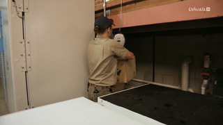 SOS faune sauvage - Australie