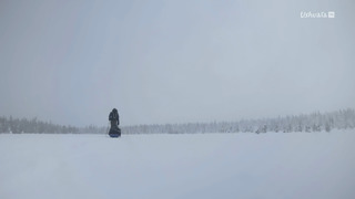 L'archipel des forêts