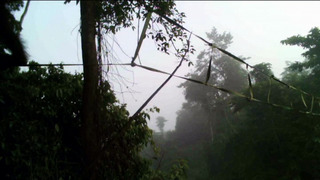 Des mains vertes pour la nature