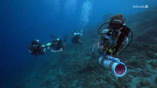 Des mains vertes pour la nature