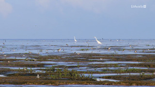 La vase source de vies