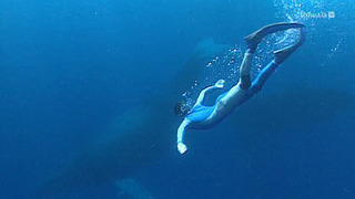 Une année en Afrique, Best of