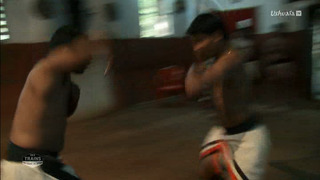 Des trains pas comme les autres