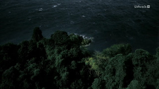 L'odyssée des animaux