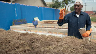 De l'or dans nos WC, nos étrons sauveront-ils le monde ?