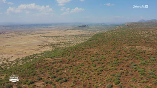 Des trains pas comme les autres