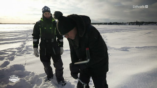 Des trains pas comme les autres