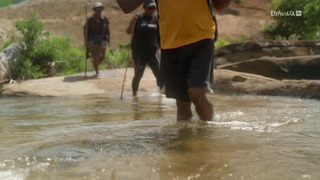 Héroïnes de nature
