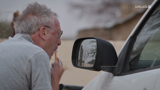 L'arbre qui cache la forêt