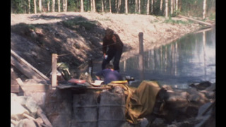 Ida et la forêt : un conte finlandais