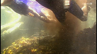 Les mondes d'Ushuaia