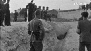 Ascension et déclin du nazisme