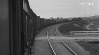 Ascension et déclin du nazisme