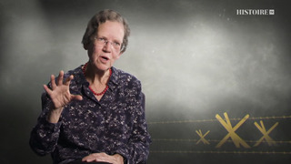 Ascension et déclin du nazisme