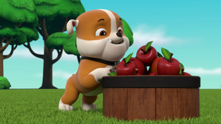 La Pat' Patrouille - Saison 8