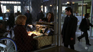 Les experts : Manhattan