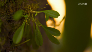 Le Nicaragua entre volcans, lacs et mers