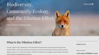 La fabrique des pandémies