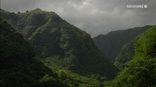 Héritages et énigmes du monde marin