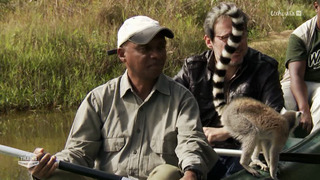 Des trains pas comme les autres