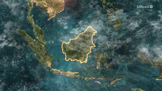 L'Indonésie sauvage