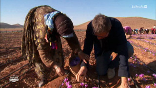 Des trains pas comme les autres