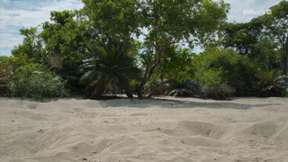 L'Indonésie sauvage