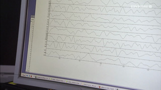 Héritages et énigmes du monde marin