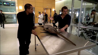 Les experts : Manhattan